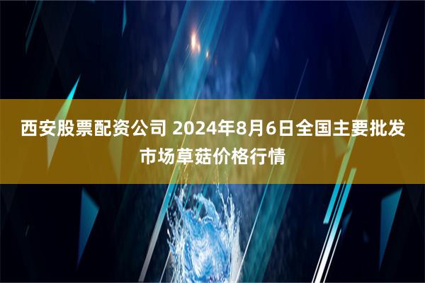 西安股票配资公司 2024年8月6日全国主要批发市场草菇价格行情