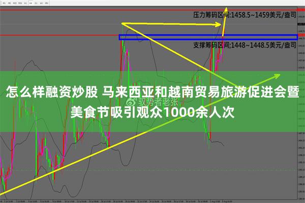 怎么样融资炒股 马来西亚和越南贸易旅游促进会暨美食节吸引观众1000余人次