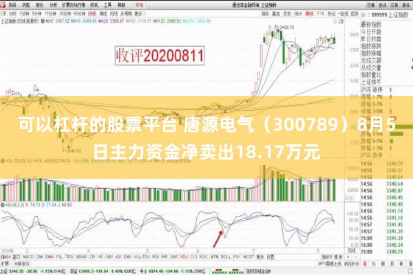 可以杠杆的股票平台 唐源电气（300789）8月5日主力资金净卖出18.17万元