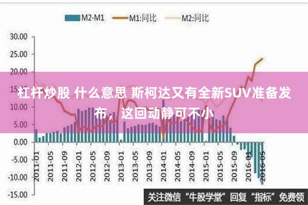 杠杆炒股 什么意思 斯柯达又有全新SUV准备发布，这回动静可不小