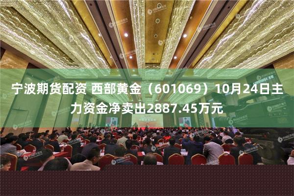 宁波期货配资 西部黄金（601069）10月24日主力资金净卖出2887.45万元