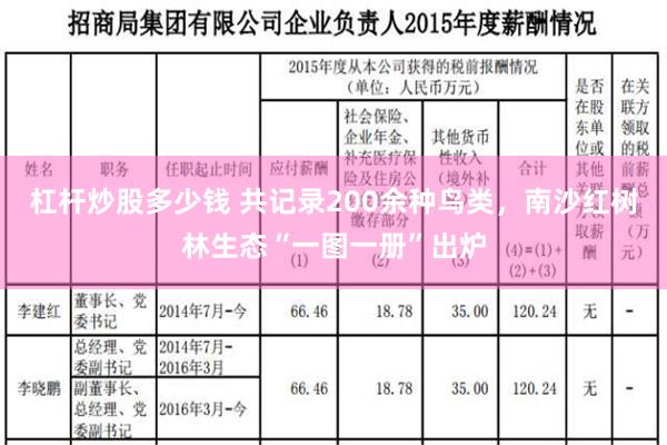 杠杆炒股多少钱 共记录200余种鸟类，南沙红树林生态“一图一册”出炉