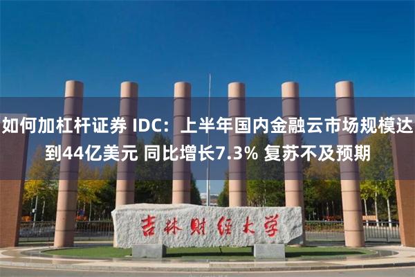 如何加杠杆证券 IDC：上半年国内金融云市场规模达到44亿美元 同比增长7.3% 复苏不及预期