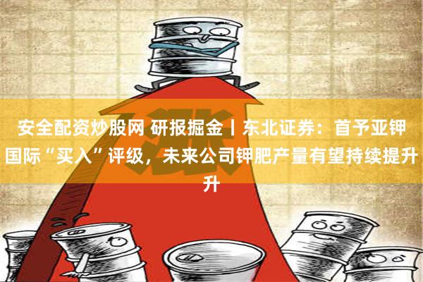 安全配资炒股网 研报掘金丨东北证券：首予亚钾国际“买入”评级，未来公司钾肥产量有望持续提升