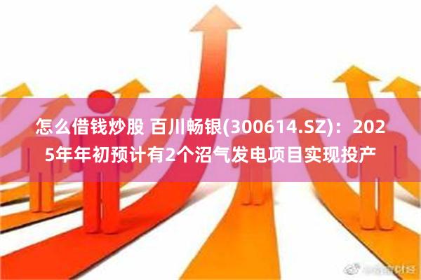 怎么借钱炒股 百川畅银(300614.SZ)：2025年年初预计有2个沼气发电项目实现投产