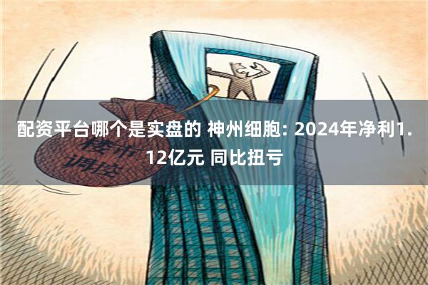 配资平台哪个是实盘的 神州细胞: 2024年净利1.12亿元 同比扭亏